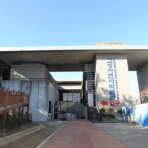museum_02