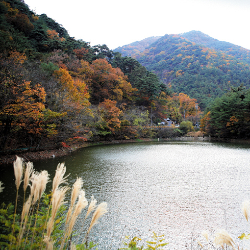 park_03