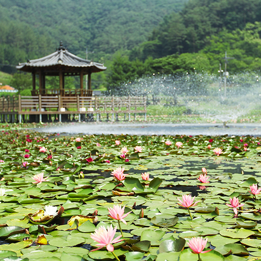 park_06