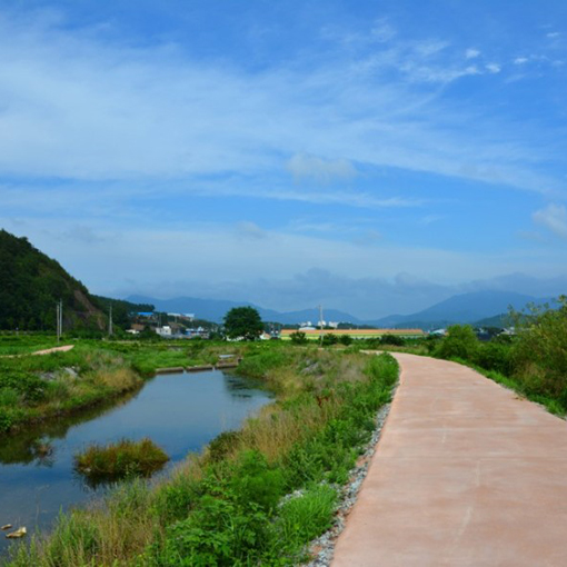 park_11